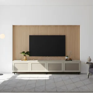 Aicha TV Unit